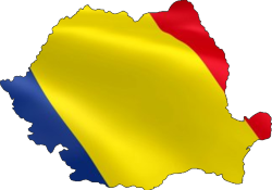 Miruna Măndică – Digital nomad